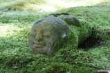 宝泉院1