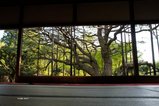 宝泉院3