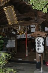 白雲14