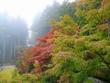 高野山2