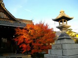 勝林寺2