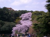 御苑2011－2
