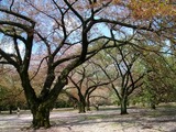 IMGP9330
