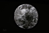 窓3