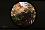窓5