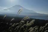 富士山1
