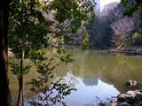 IMGP0120