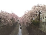 妙正寺１