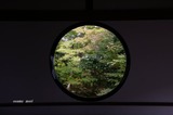悟りの窓2011-11-1