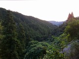 蒲公英工房6