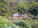 蒲公英工房