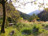 蒲公英工房９