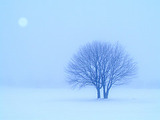 雪景色2