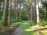 IMGP0648