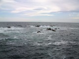 城ケ島4