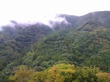 IMGP0421